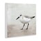 Stupell Industries Lone Sandpiper Bird Portrait Wall Plaque Art